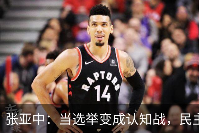 张亚中：当选举变成认知战，民主还有意义吗