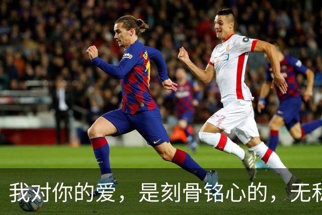 我对你的爱,是刻骨铭心的,无私奉献的